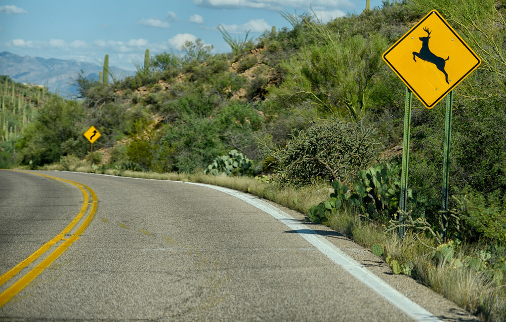Deer crossing road sign in the Texas Hill Country