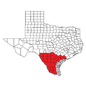 Map highlighting the South Texas region within Texas